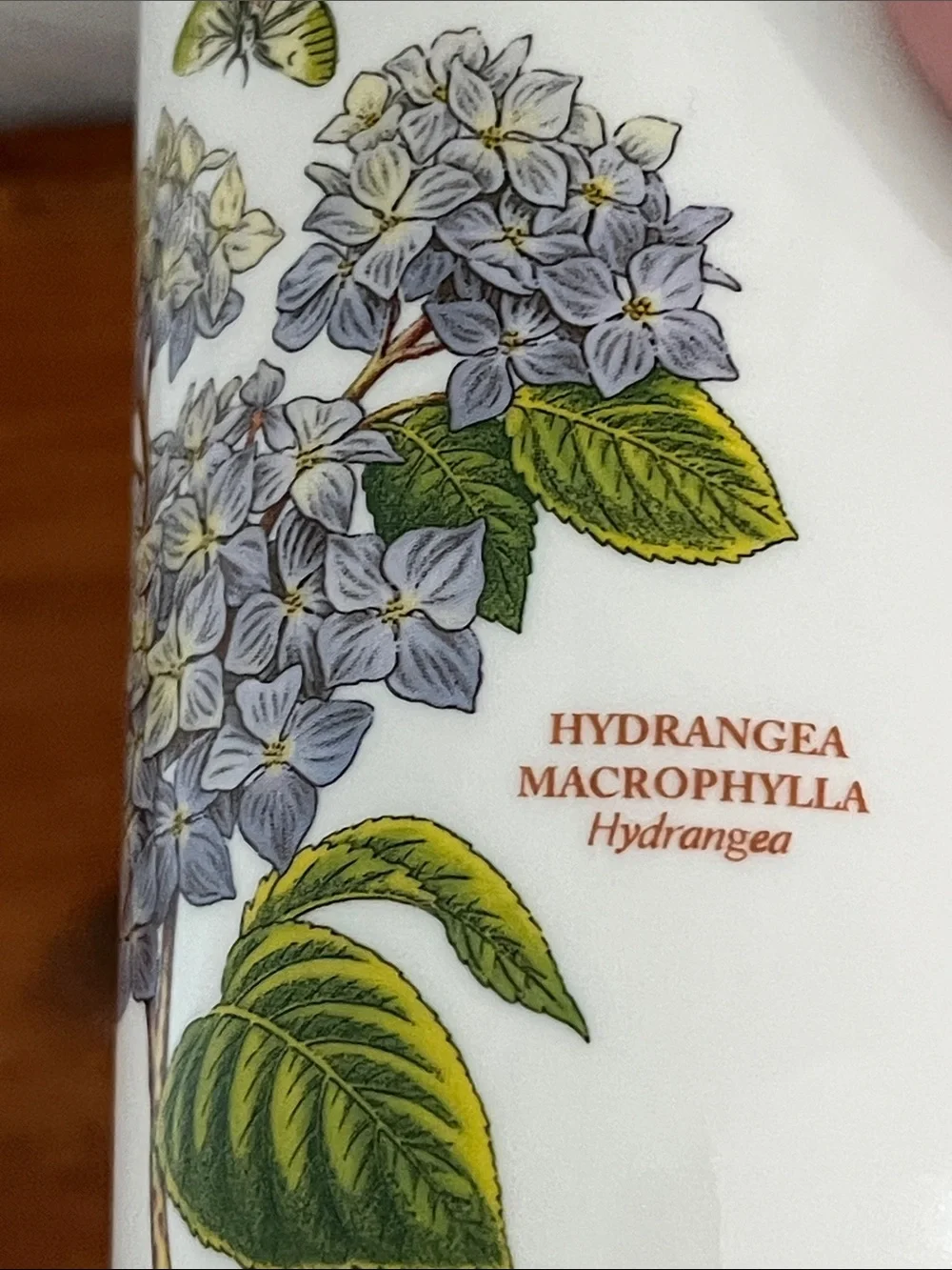 Portmeirion Botanic Garden Travel Mug with Blue Hydrangea and Green Leaf Motif